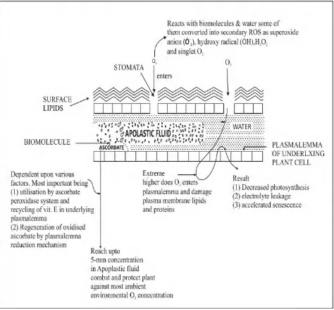 Fig. : Combating the OR3R Assault by Plants 