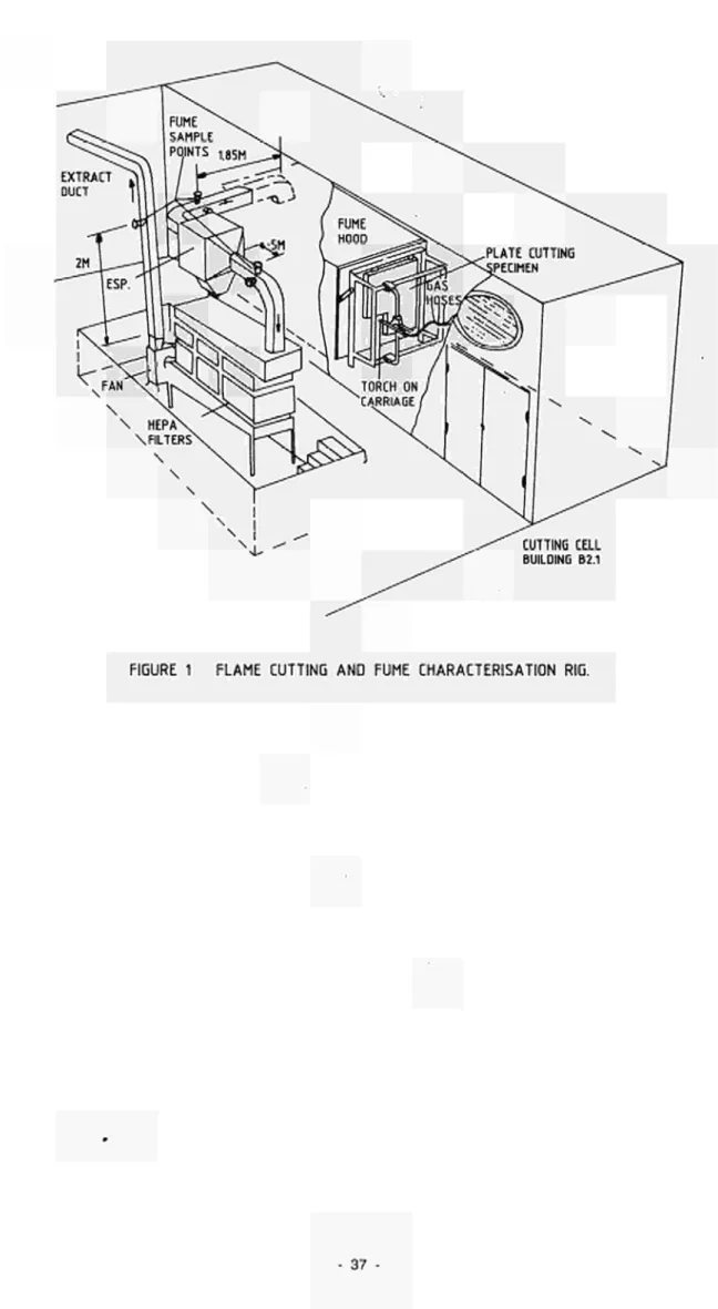 FIGURE 1 FLAME CUTTING AND FUME CHARACTERISATION RIG. 