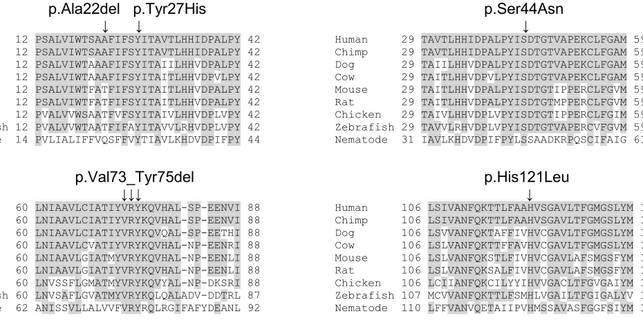 Figure S2. Protein sequence alignment of human DRAM2 with orthologues. Multiple protein 