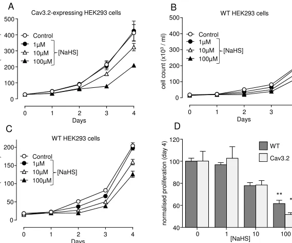 AFigure 1Cav3.2-expressing HEK293 cellsBWT HEK293 cells