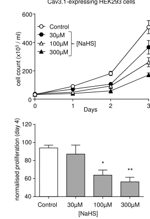 Figure 2Cav3.1-expressing HEK293 cells