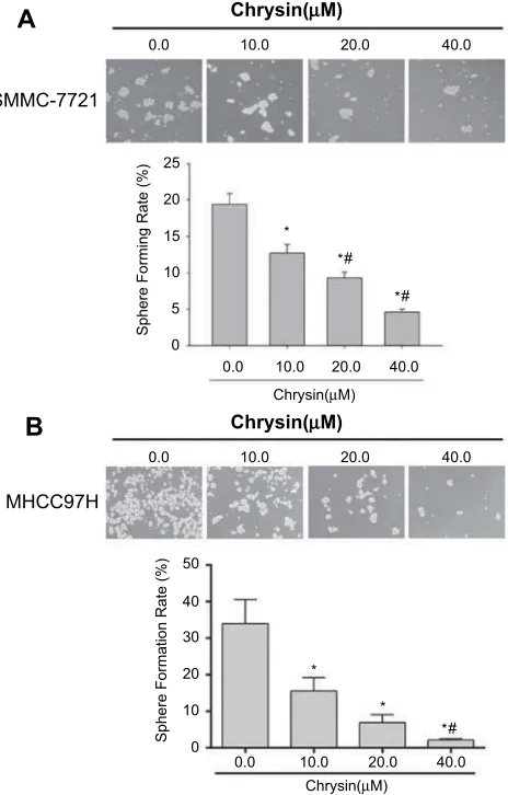 Figure 2 Chrysin suppresses sphere formation in SMMC-7721 cells andRepresentative image of sphere formation under phase contrast microscope forMHCC97H cells treated with or without chrysin (×10)