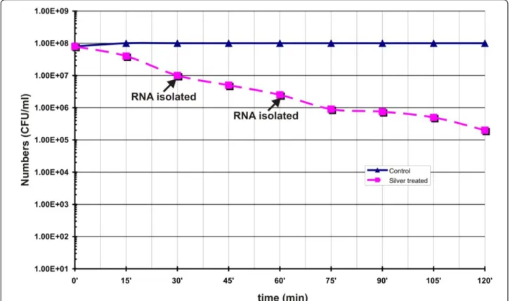 Figure 1 Survival of B. cereus cells during silver nitrate induced stress condition. Logarithmically grown cells were treated with and without 1 mM AgNO 3 