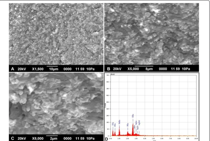 Figure 2 SEM with EDX analysis of silver nanoparticles synthesized by B. cereus ATCC 14579