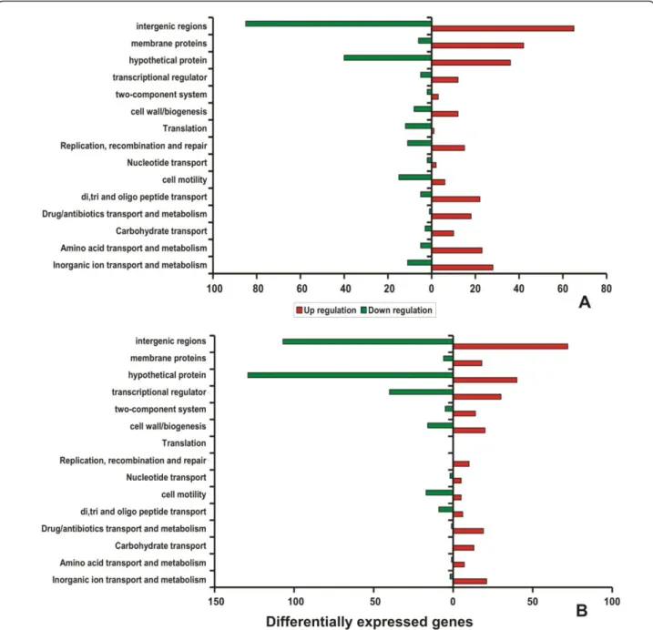 Figure 4 Histogram of differential expression pattern of genes belonging to COG class