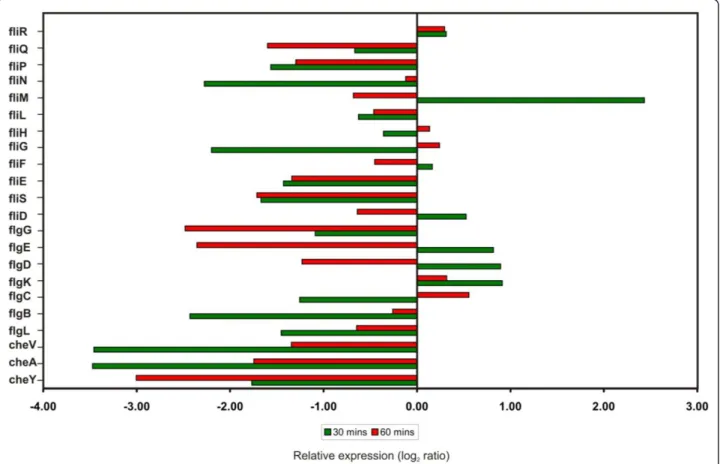 Figure 5 Histogram of differential expression pattern of motility genes. Motility-associated genes that were differentially regulated in B