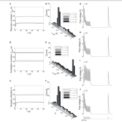 FIGURE 5 | Double population scenario: STP parameters adaptation and� ℘the two populations develop different synaptic types, facilitating fordepressing forrecsynapses projecting onto output population 2 from both output populations,℘facilitation time const