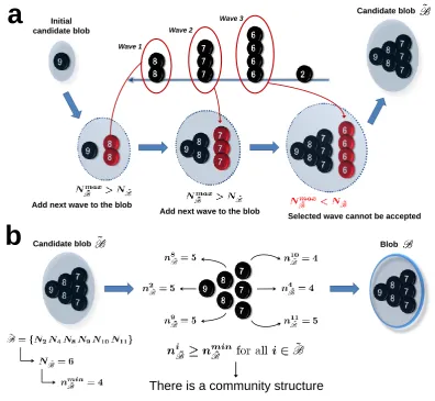 Figure 2 Algorithm Step 2: Blob search. A Part 1community deﬁnition and gets the status of blobadding the current wave (within blob itself,are all-to-all bidirectionally connected except for the pair: Detecting a candidate blob B˜
