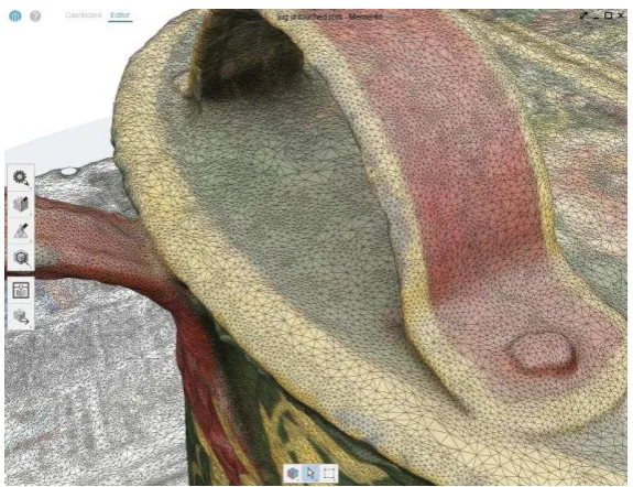 Figure 7: Detail of same jug, decimated by 90% (80K polys) 