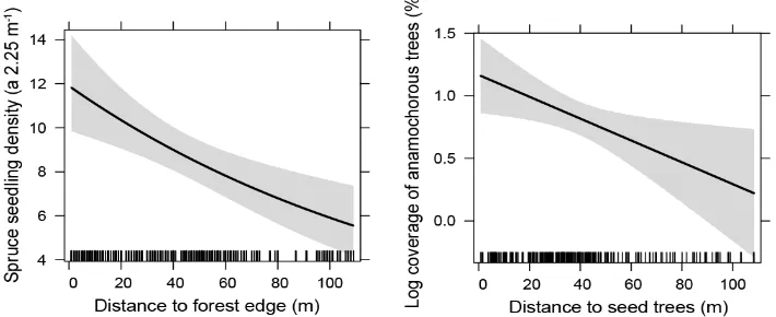 Figure 3. Predicted spruce seedling density (left) and coverage of anemochorous trees (right) with 95% confidence intervals (grey area) as a function of distance to the forest edge (composed mostly of spruce) or distance to conspecific seed trees