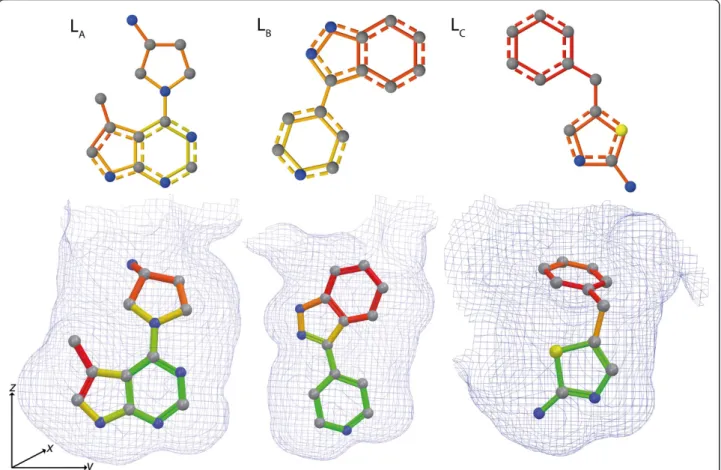 Figure 4 Orientation of different protein kinase A ligands. Binding orientation of the ligands of PDB entries 3MVJ (L A ), 3DNE (L B ), and 3DND