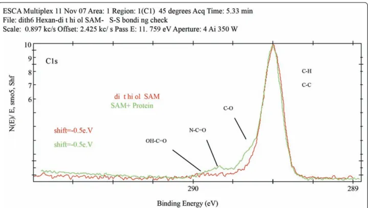 Figure 4 Fitting of the XPS spectra of a carbon (1s) region for a sample containing a dithiol monolayer and a sample, containing immobilized protein