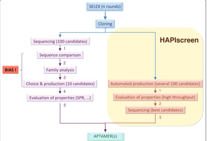 Figure 1 Hapiscreen flowchart. The different steps of the HAPIscreen methodology are indicated (right) in comparison to that of the standard SELEX method (left).