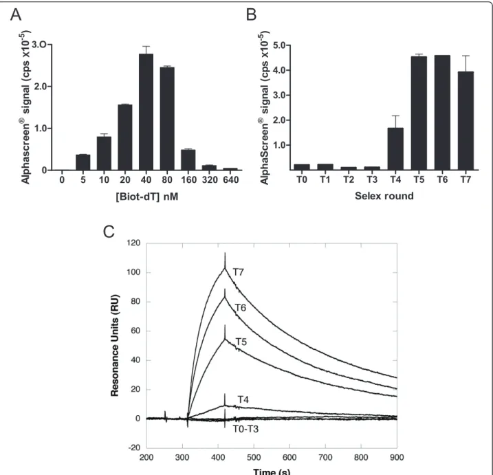 Figure 4 Screening of oligonucleotide pools. (A) TAR-R06 aptamer complexes were monitored as in Figure 2 except that a 5 ’ extended TAR (rA-TAR) was immobilized on the beads through a biotinylated anchor oligonucleotide (biot-dT) (Figure 2C)