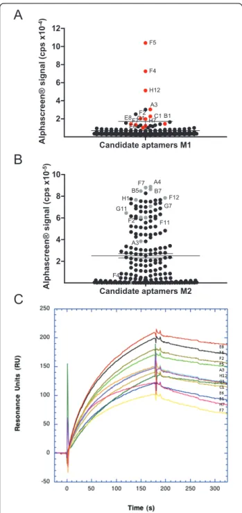 Figure 5 Screening of oligonucleotide pools. (A, B) AlphaScreen ® -based analysis of individual candidates issued from SELEX M1 against a mixed target population a, b and c (A) or from SELEX M2 against the single target × (B)