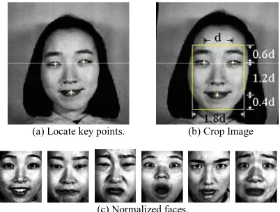 Figure 1. Examples of face normalization. 