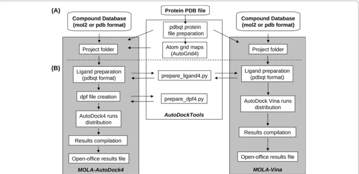 Figure 1 Work-flow of MOLA software. When a virtual screening project is initiated, MOLA software performs automatically several tasks for both AutoDock4 and Vina (grey rectangles)