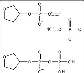 Figure 13 Grafting of a template by matching a bond with a template atom connected to a single guide atom