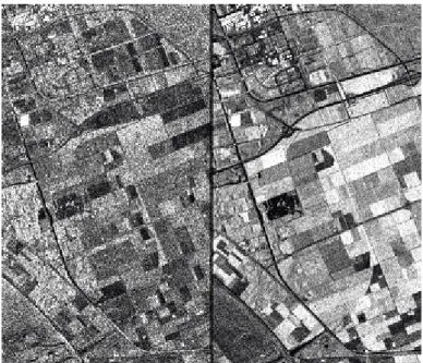 Figure 10: Radar speckle filtering (Image from [29]).
