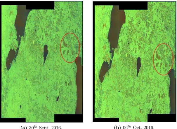 Figure 25: 30 th Sept, 2016 from Sentinel-1A and 06 th Oct, 2016 from Sentinel-1B.