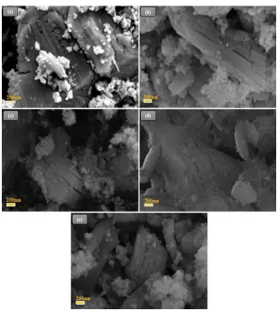 Figure 2. SEM images of (a) BLFO/MXene, (b) BLFMO-5/MXene, (c) BLFMO-10/MXene (d) BLFMO-20/MXene, (e) BLFMO-25/MXene