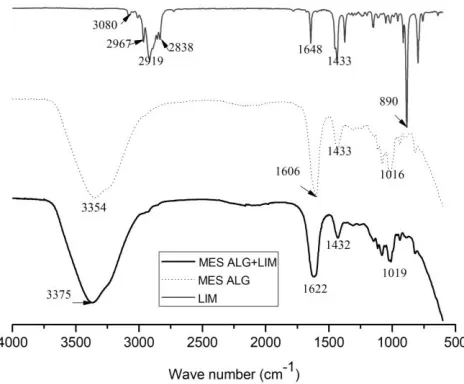 Figure 1: MES ALG + LIM microscopy with (a) 40x magnification and (b) 75x magnification 
