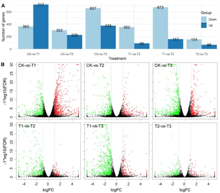 Figure 3. Difference analysis of gene expression between treatments. (up and down regulated genes