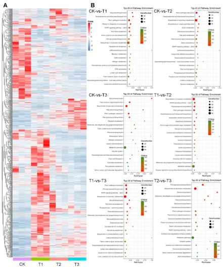 Figure 4. Gene expression clustering and GO pathway enrichment analysis. (A) Global gene 