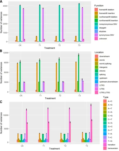 Figure 5. Gene expression clustering and GO pathway enrichment analysis. (A) Global gene expression 
