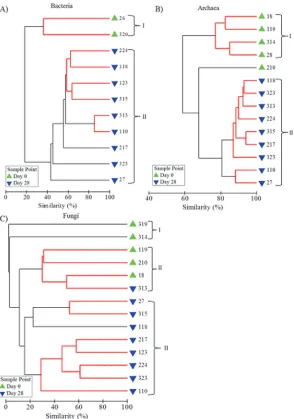 Fig 5. Cluster analysis of similarity using fingerprint profiles to show the similarity between A) bacterial,B) archaeal and C) fungal drinking water biofilm communities.T-RFLP or ARISA analysis, sample identification numbers are shown and clusters are ind