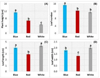 Figure 3. Effect of LED light on the growth and morphology of Eustoma ex vitro for acclimation: (A) blue; (B) red; and (C) white