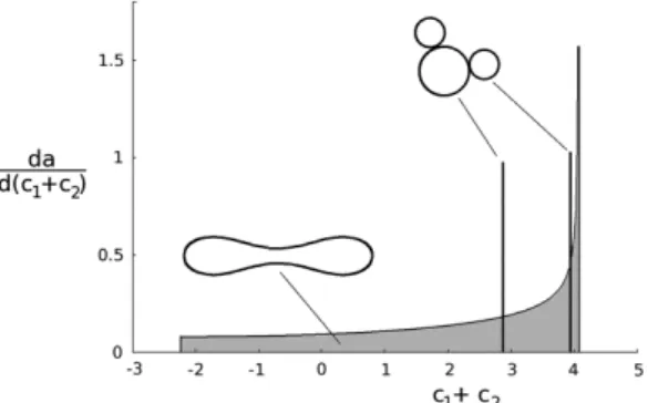 Fig. 5. Distribution of the membrane area over the sum of principal curvatures for the RBC  disc shape (shape “c” in Fig