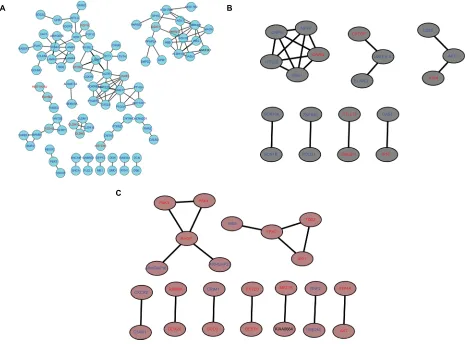 Figure 8 PPI network of genes in the top three modules.Notes:module. Red words represent upregulated genes and blue words represent downregulated genes