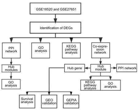 Figure 1 Study design and data preprocessing.