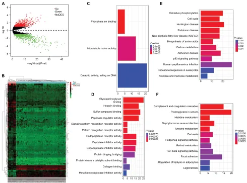 Figure 2 Identification of DEGs in EOC and the enrichment of these genes.Abbreviations:Notes: (A) The volcano plot of all DEGs