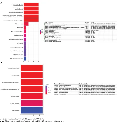 Figure 5 Determination of soft-thresholding power in WGCNA.Notes: (A) GO enrichment analysis of module rank 1, (B) KEGG analysis of module rank 1.Abbreviations: GO, gene ontology; KEGG, Kyoto Encyclopedia of Genes and Genomes; WGCNA, Weighted Gene Expression Network Analysis.