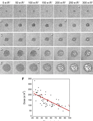 FIG8 Bubblegram imaging of puriﬁed NC protein. (A to E) Cryo-EM dose series of ﬁve NC aggregates of different sizes