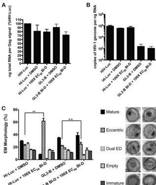 FIG 9 Viral RNA requirement for eccentric condensate formation. (A) Total RNA (in nanograms) of concentrated virion preparations