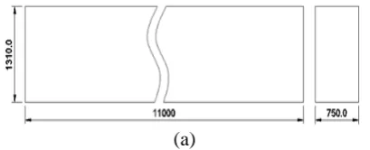 Fig. 8. (a) Scheme of the wave flume                        (b) Panoramic view of the wave flume 
