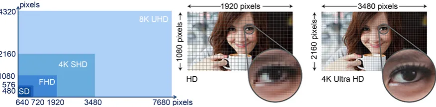 Figure 4. Illustration indicating the evolution of the resolution of the imaging and display equipment between 2005-2016 as well as its influence on the resulting images