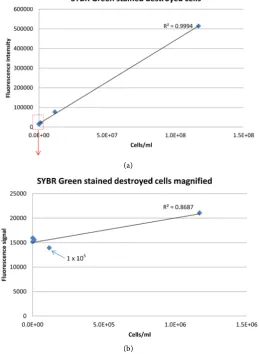Figure 5. Correlation between fluorescence signal intensity and cell density, when staining a di-lution series of bacterial cells in seawater with PicoGreen dye