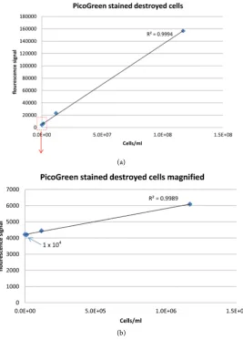Figure 7. Correlation between fluorescence signal intensity and cell density, when staining a di-lution series of destroyed bacterial cells with PicoGreen dye