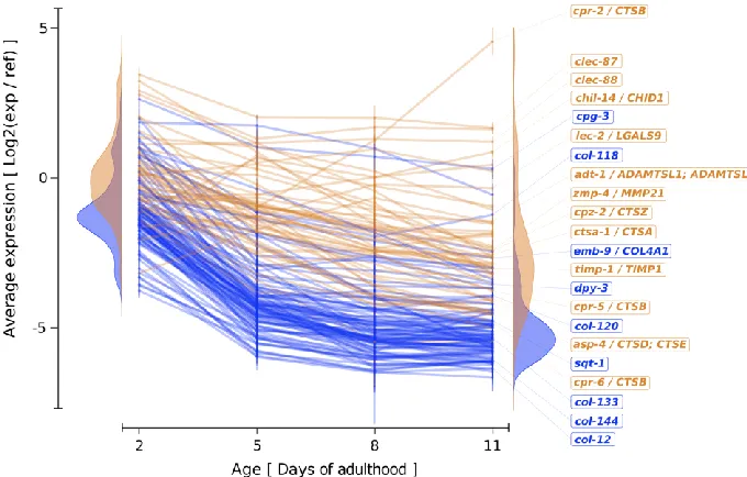 Figure 2. Changes in the matreotype during aging. 
