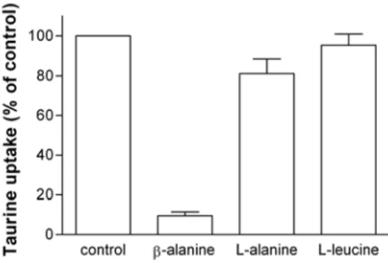 Fig. 3. The effect of β-alanine, L-alanine and L-leucine on taurine uptake by MCF-7 cells