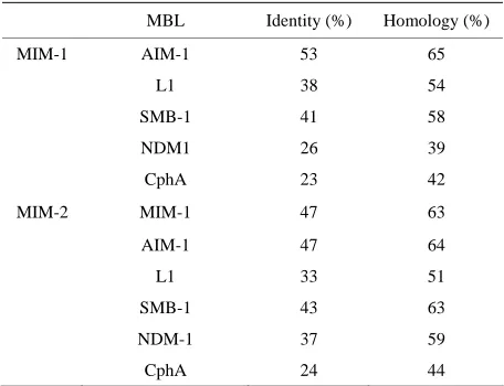 Table 1. Pairwise sequence comparisons between MBL-like sequences from N. pentaromativorans (MIM-1; see text for details) and S