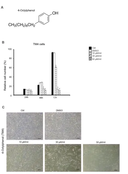 Figure 1. Cytotoxic effects of 4-OP on mouse TM4 Sertoli cells. (A) Chemical structure of 4-OP after 