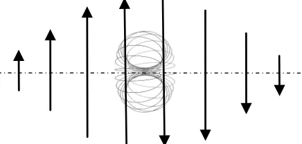 Figure 14. The olive-shaped orbit magneton. 
