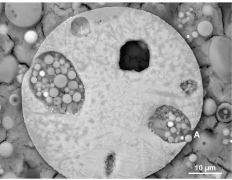 Fig. 5. Backscattered electron micrograph of a single FA particle showing prominent Al andSi dissolution resulting in phase separation leaving dendritic Fe-rich phases.