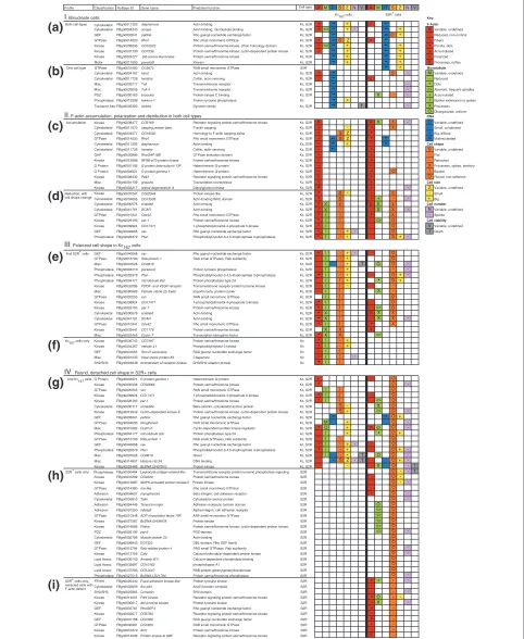 Figure 6 (see legend on the next page)