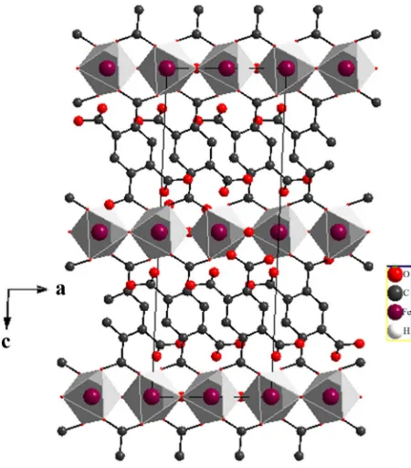 Figure 4. The projection structure of [Fe(O3C4)(COO)]·H2O, in the bc plane showing a single layer